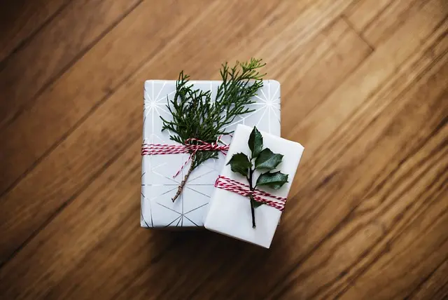 Best Travel Gifts for Frequent Flyers
